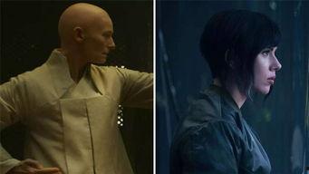 亚洲多毛视频,亚洲多毛植物多样性探索之旅