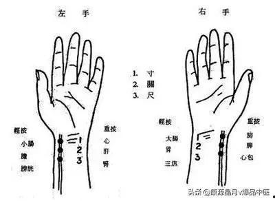 快速学号脉视频,高效掌握数字脉动奥秘