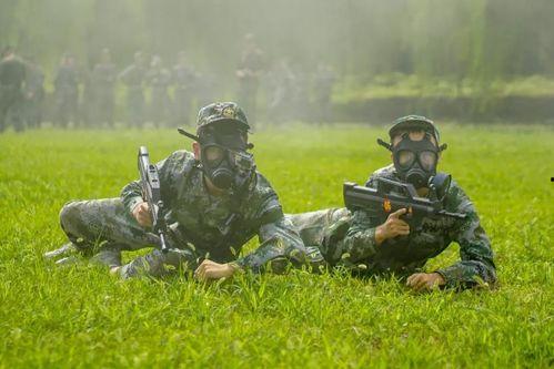 军人匍匐前进训练视频,坚毅意志与战术技巧的完美结合