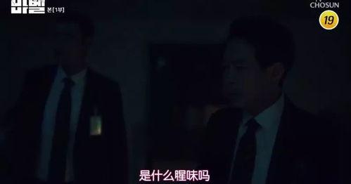 男女滚床单大全视频,滚床单大全视频深度解析