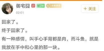 斗鱼卡卡热舞视频高清,燃情四溢，视觉盛宴