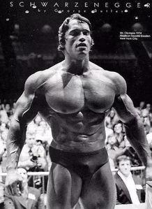 肌肉男抖胸视频